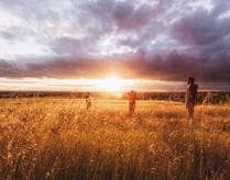 Modern Aluminum Soap - Image 3